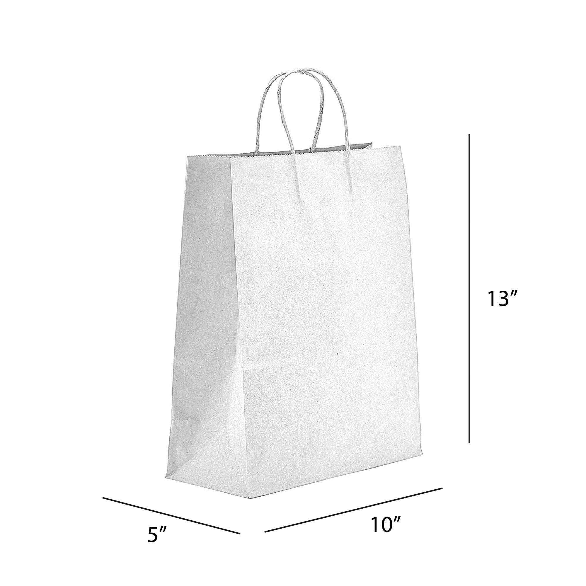 Natural/White Paper Bag - 10 x 5 x 13 (250 Pack): Natural / 10 x 5 x 13