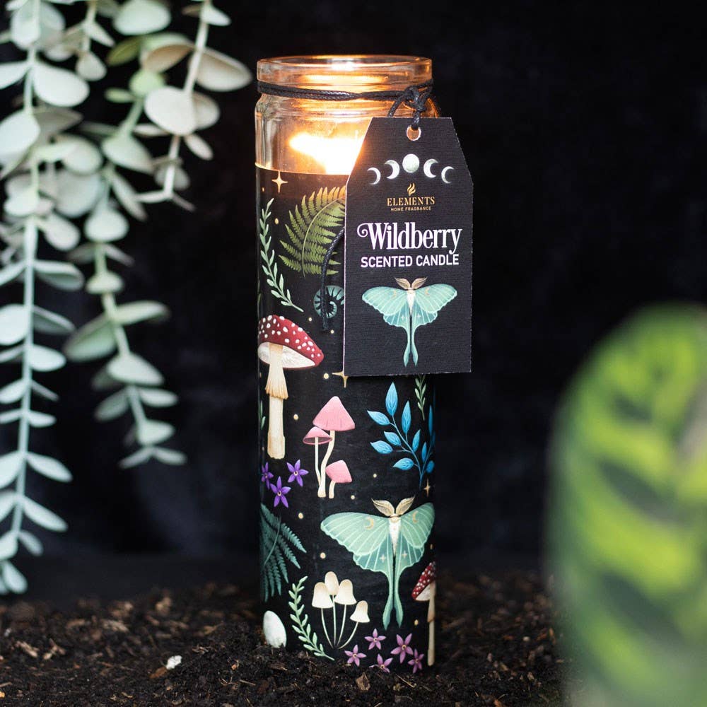 Dark Forest Wildberry Candle C/24
