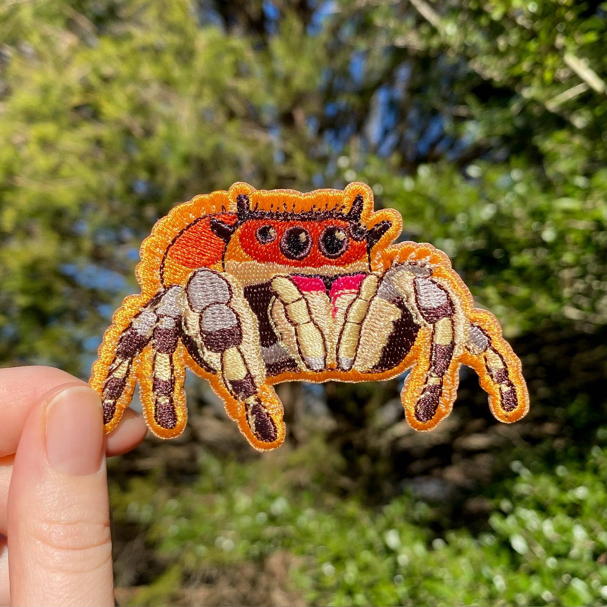 Regal Jumping Spider Embroidered Patch