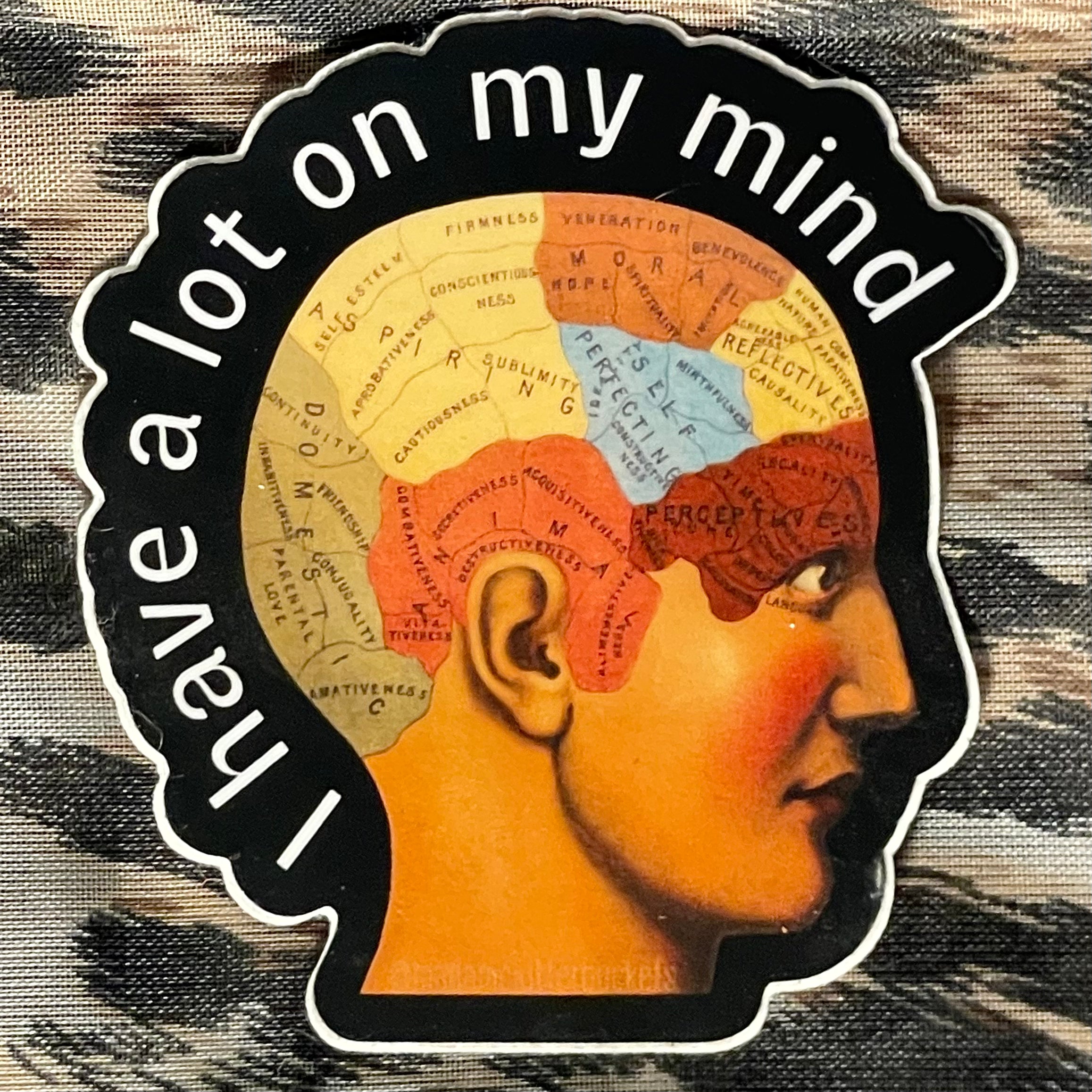 I Have a Lot on My Mind Sticker