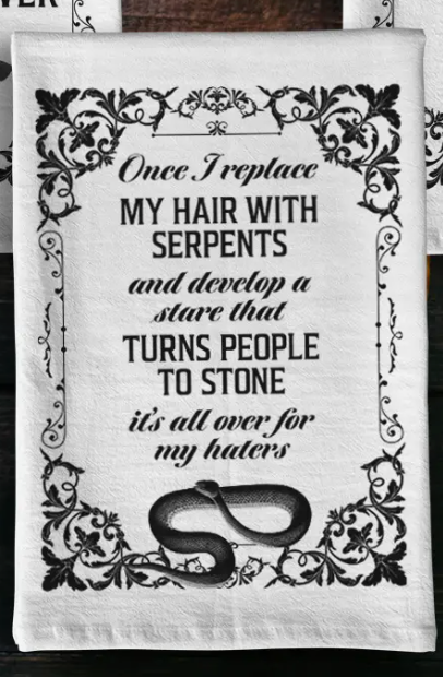 "Once I replace my hair with serpents and develop a stare that turns people to stone it's all over for my haters" dish towel