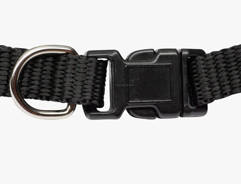 Needy AF Pet Bandana/Collar