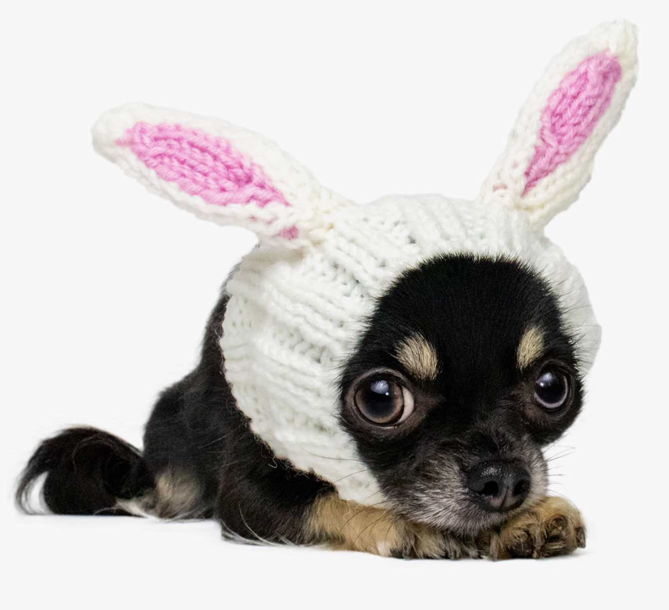 Bunny Rabbit Pet Snood!