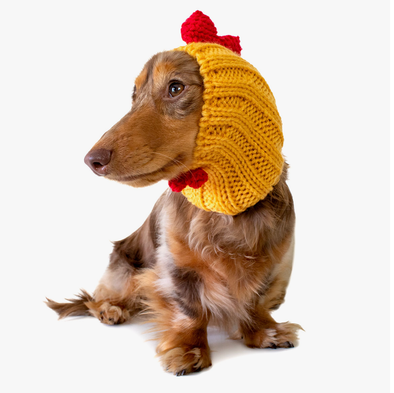 Rooster Pet Snood!