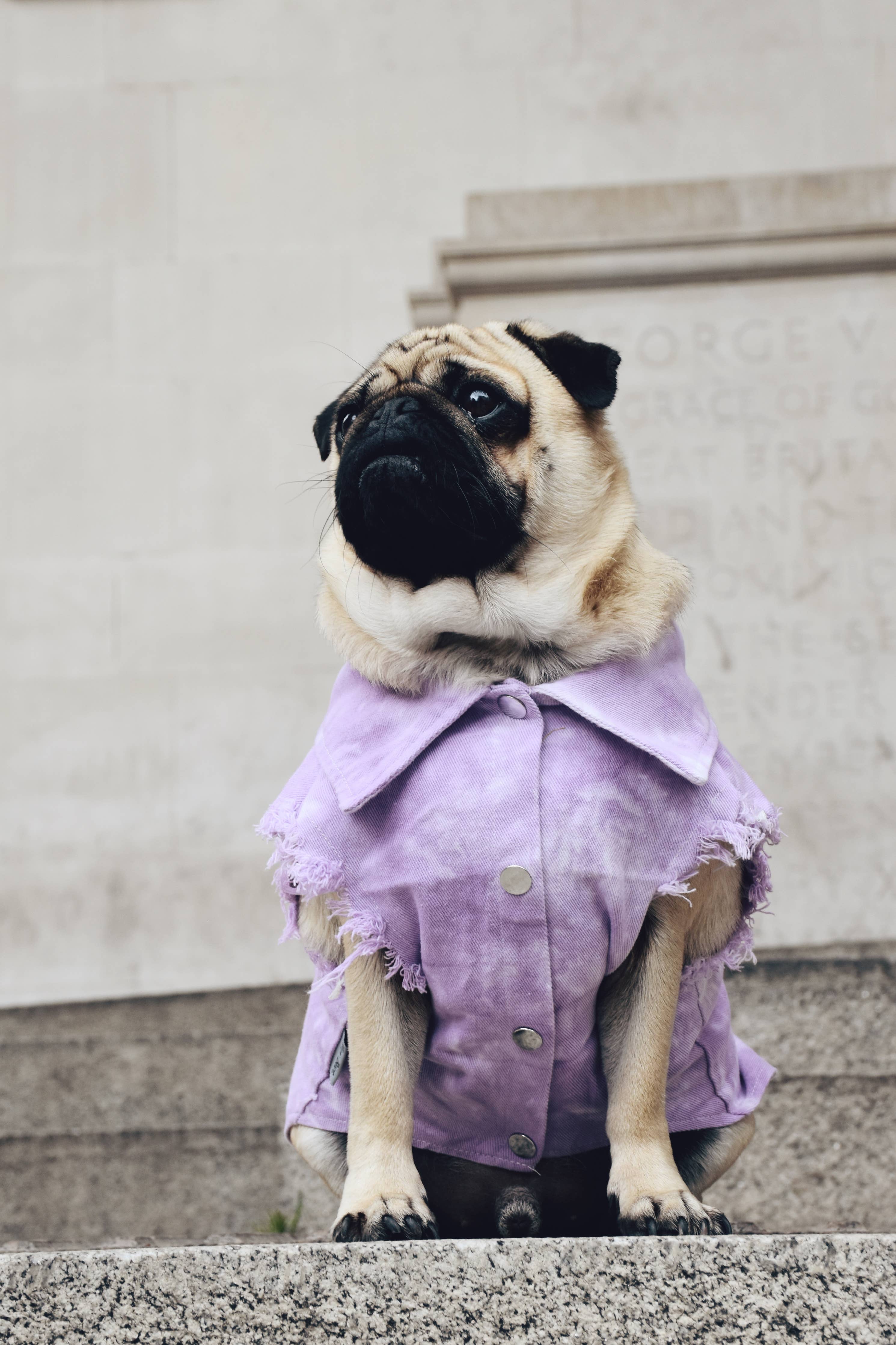 Lilac Tie-Dye Dog Denim Jacket Small