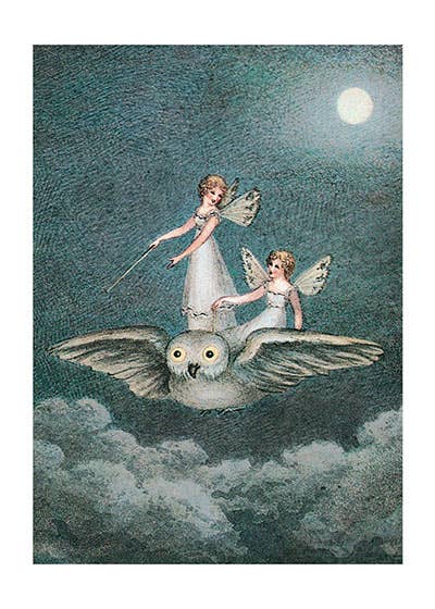 Fairies Riding Owl