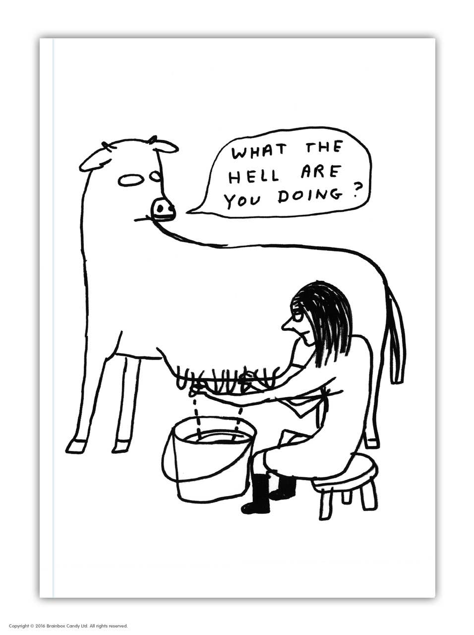 David Shrigley Notebook  What The Hell