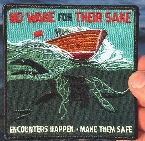 Safe Encounters - Boat Safety Psa Patch